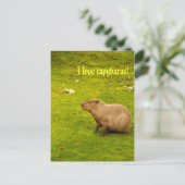 J'adore les capybaras Carte postale (Debout devant)