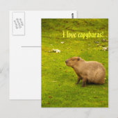 J'adore les capybaras Carte postale (Devant / Derrière)