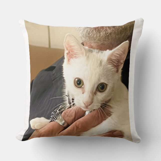 J'adore les chats ! Coussin de lancer pour chat (Recto)