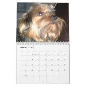 J'ADORE LES CHIENS CALENDRIER (Feb 2027)