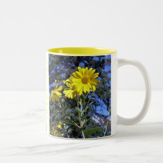 J'ADORE LES SOUFFRANCES MUG PICS x2 (Droit)