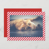 J'adore Meow | Carte postale de la Saint-Valentin  (Devant / Derrière)