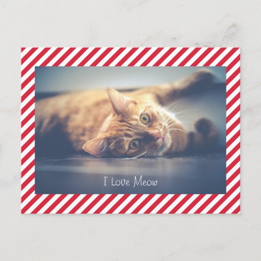 J'adore Meow | Carte postale de la Saint-Valentin  (Devant)
