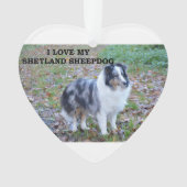 J'adore mon Shetland Sheepdog (devant)