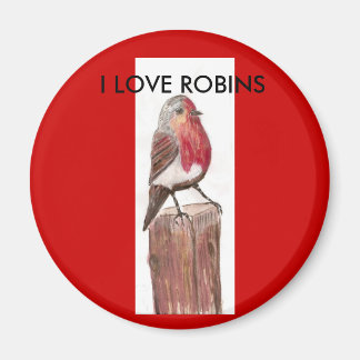 , J'ADORE ROBINS Magnet