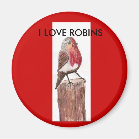 , J'ADORE ROBINS Magnet (Devant)