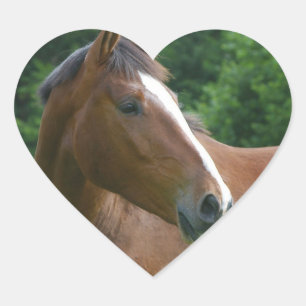 J'adore Stickers Cheval Visage de cheval dans Stic