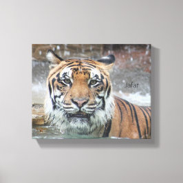 Jafar Canvas Afdruk