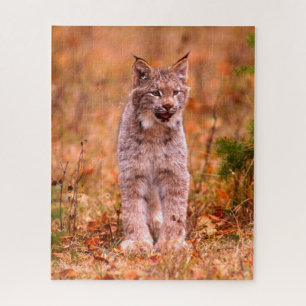 Jagen met een rode lynx Herfst bos Legpuzzel