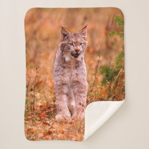 Jagen met een rode lynx   Herfstbos Sherpa Deken