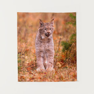 Jagen van een rode lynx   Herfstbos Wandkleed