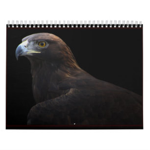 Jagers van de Sky 2014-kalender Kalender