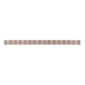 Jagged Edge Concentrische Aarde Tone Ombre Art Lint (Voorkant)