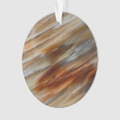 Jagged Petrified Wood Ornament (voorkant)