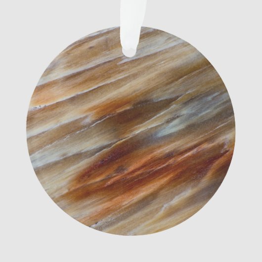 Jagged Petrified Wood Ornament (voorkant)