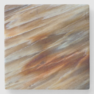 Jagged Petrified Wood Stenen Onderzetter