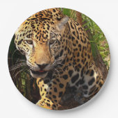 Jaguar Adolescent Papieren Bordje (Voorkant)