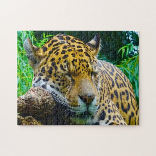 Jaguar Big Cats. Legpuzzel (Horizontaal)