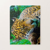 Jaguar Big Cats. Legpuzzel (Verticaal)