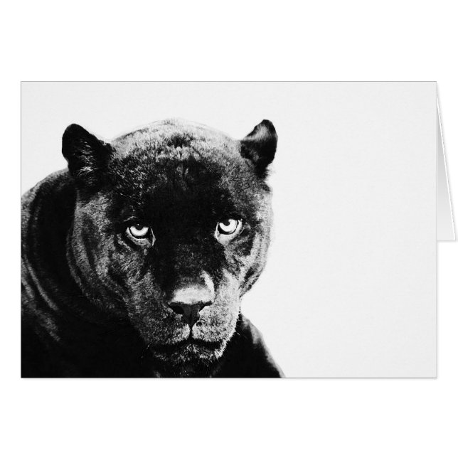Jaguar Black Panther (Devant horizontal)