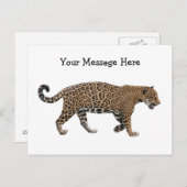 Jaguar Briefkaart (Voorkant / Achterkant)