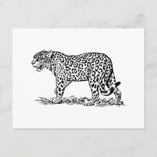 Jaguar Briefkaart (Voorkant)