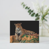 Jaguar Briefkaart (Staand voorkant)