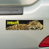 JaguaR Bumpersticker (Op auto)