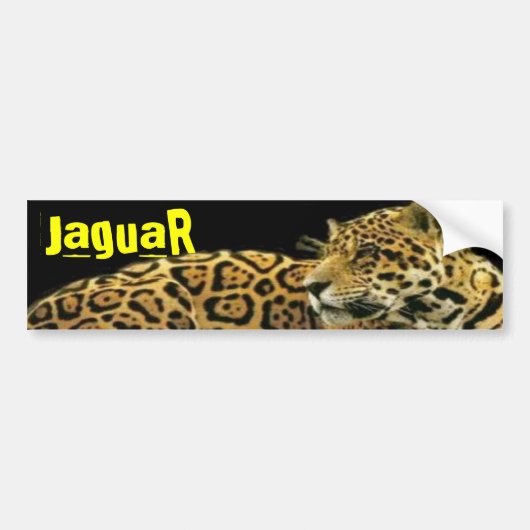 JaguaR Bumpersticker (Voorkant)