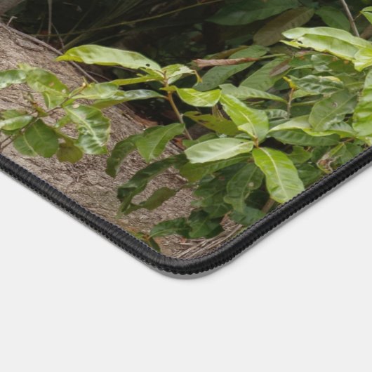 Jaguar Bureaumat (Hoek)