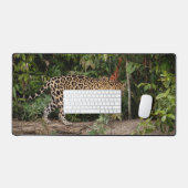 Jaguar Bureaumat (Keyboard & Muis)