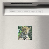 Jaguar Cub Magneet (Insitu (Vaatwasser))