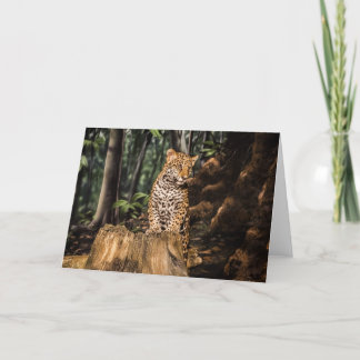 Jaguar Cub Wenskaart Kaart