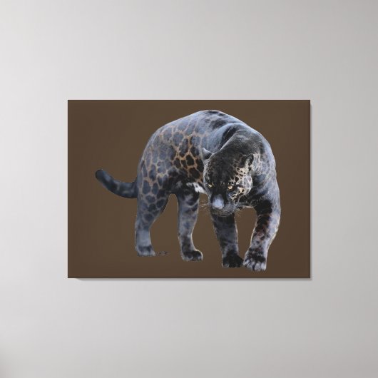 Jaguar Diablo bruin canvas print (Voorkant)