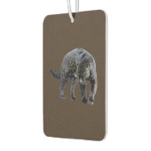 Jaguar Diablo bruine auto luchtverfrisser (Links)