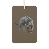 Jaguar Diablo bruine auto luchtverfrisser (Achterkant)