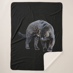 Jaguar Diablo couverture sherpa noire