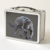 Jaguar Diablo grijze roestvrije lunchbox (Voorkant)