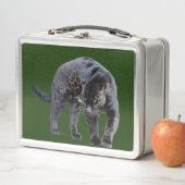 Jaguar Diablo groene roestvrije lunchbox (In situ)