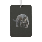 Jaguar Diablo: luchtverfrisser (Achterkant)