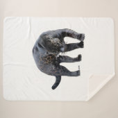 Jaguar Diablo sherpa couverture (Devant (Horizontal))