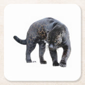 Jaguar Diablo white paper onderzetters (Voorkant)