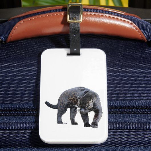 Jaguar Diablo wit bagagelabel (Voorkant Insitu 2)