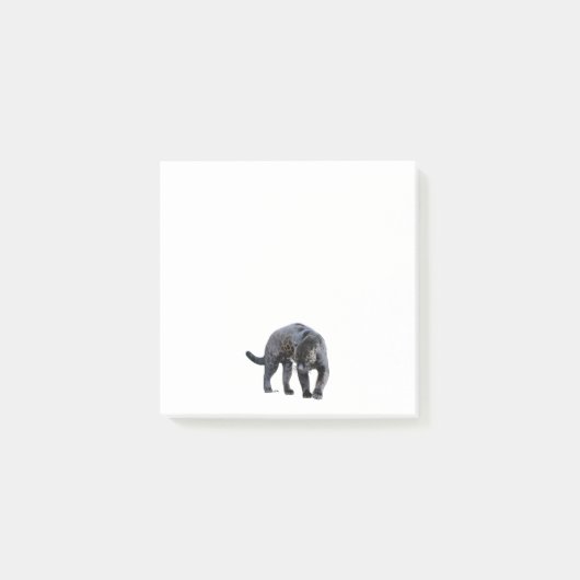 Jaguar Diablo witte notitieblokken Post-it® Notes (Voorkant)