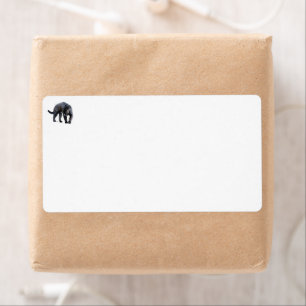 Jaguar Diablo witte verzendlabels Etiket