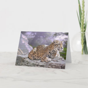 Jaguar en Mayan Temple Kaart