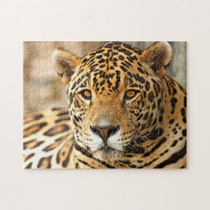 Jaguar-foto Legpuzzel