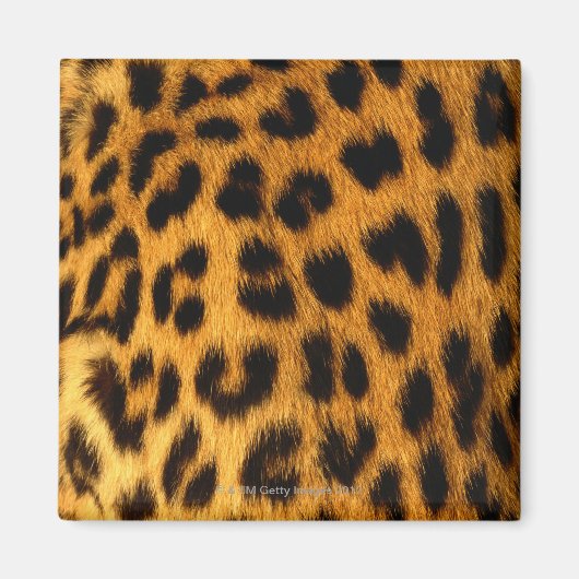 Jaguar Fur Magneet (Voorkant)