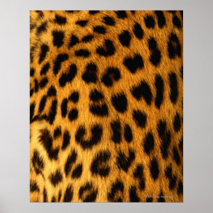 Jaguar Fur Poster