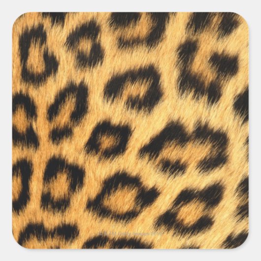 Jaguar Fur Vierkante Sticker (Voorkant)